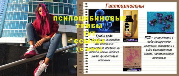mix Пересвет